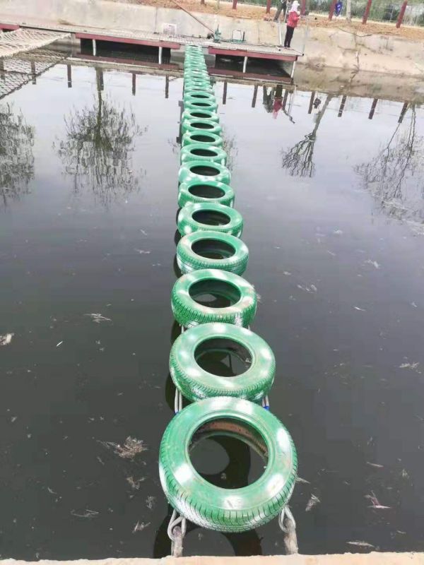 水上趣橋